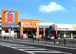 ドラッグ新生堂室見店（福）